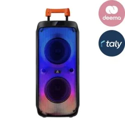Rechargeable Trolley Speaker 40W (Rms) - Black